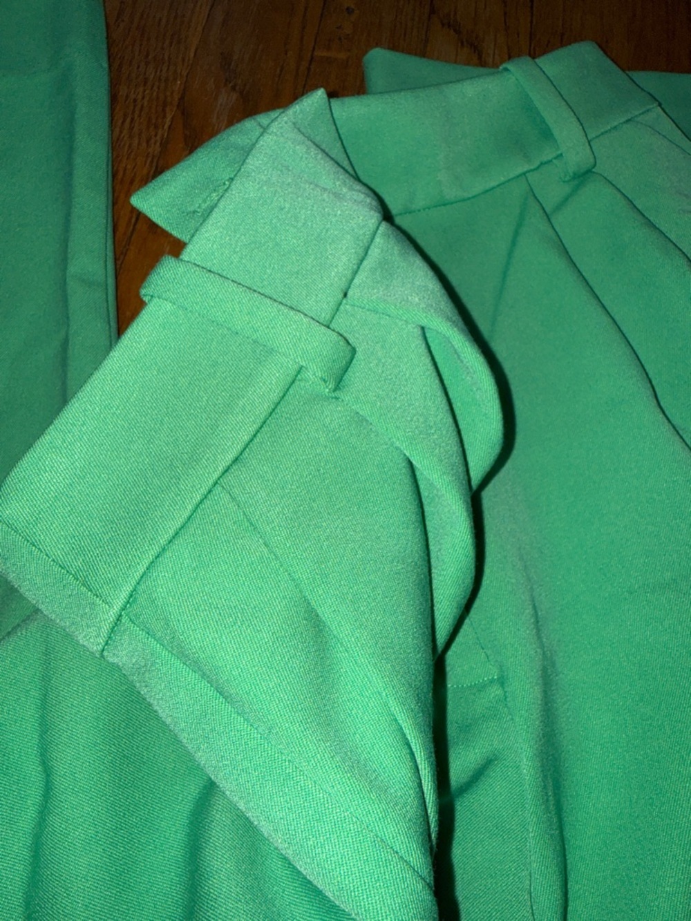 Favorite Daughter The Favorite pleated wide leg Pant in Green House Size 10 - Picture 7 of 7
